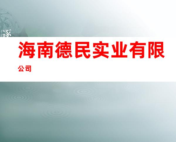 海南德民实业有限公司
